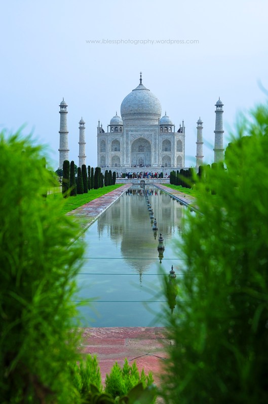 Taj Mahal (4)