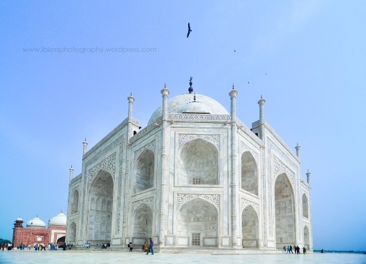 Taj Mahal (6)