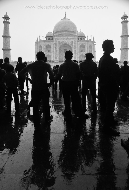 Taj Mahal (8)