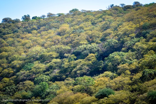 Khor Kharfot Salalah Oman