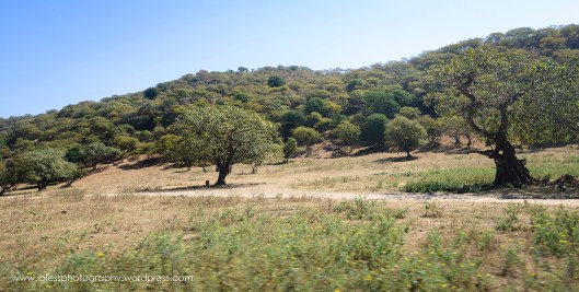  Khor Kharfot Salalah Oman