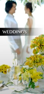 iblessphotography weddings